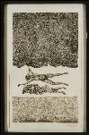 20060530193018-imageservlet.jpg